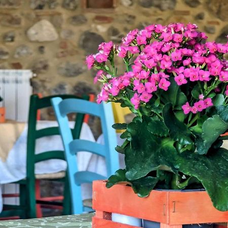 La Quinta Decima Bioagriturismo Fattoria Spedaletto Eksteriør bilde