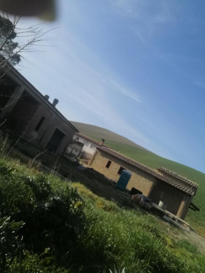 La Quinta Decima Bioagriturismo Fattoria Spedaletto Eksteriør bilde