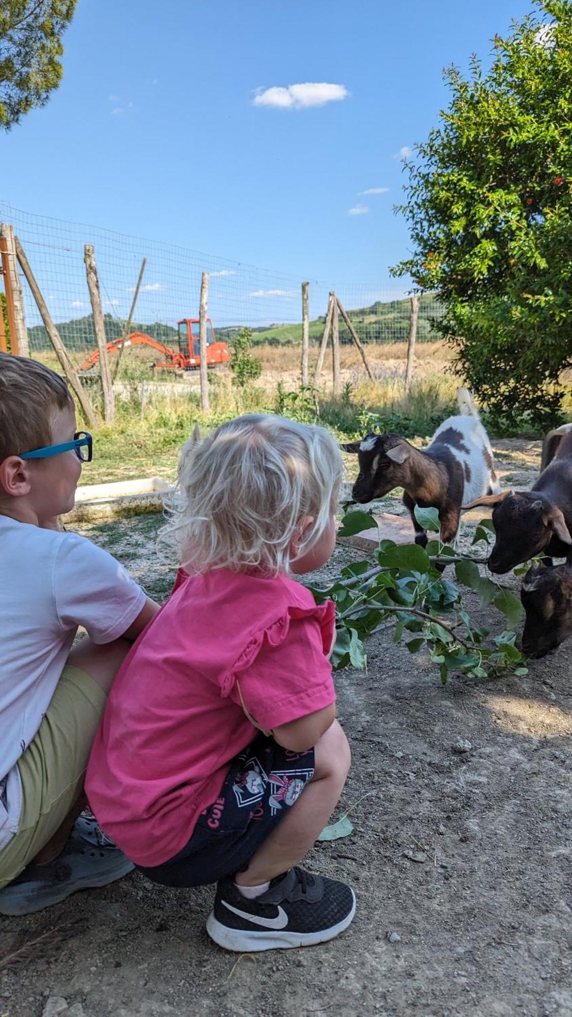 La Quinta Decima Bioagriturismo Fattoria Spedaletto Eksteriør bilde