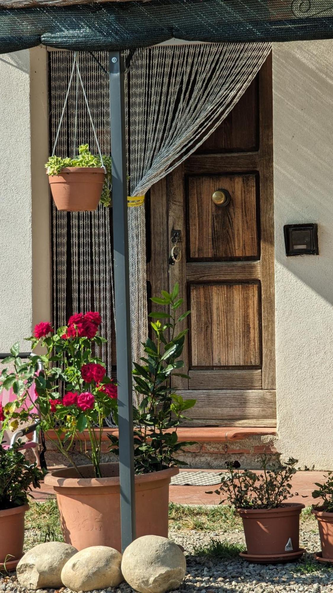 La Quinta Decima Bioagriturismo Fattoria Spedaletto Eksteriør bilde