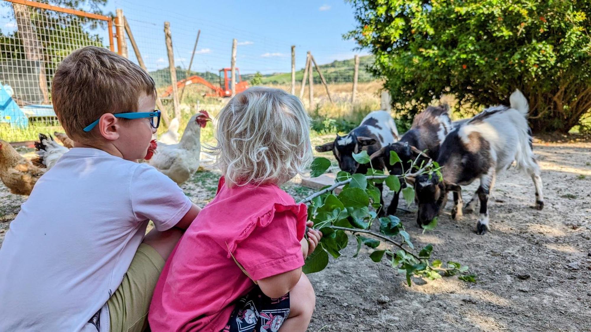 La Quinta Decima Bioagriturismo Fattoria Spedaletto Eksteriør bilde